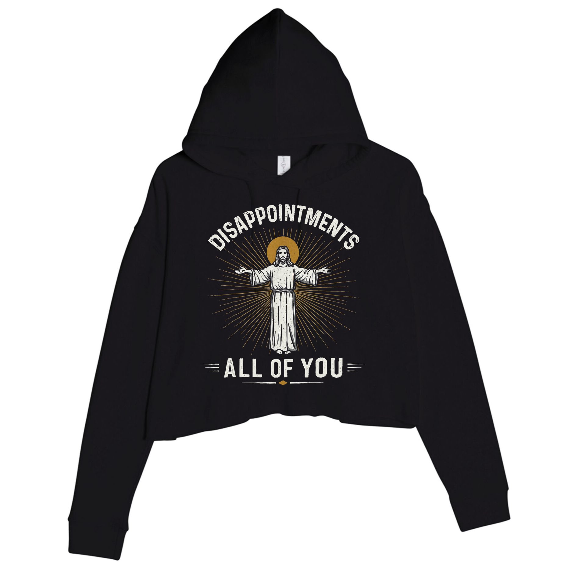 Disappointments Jesus All Of You Christian Religion Meme Crop Fleece Hoodie