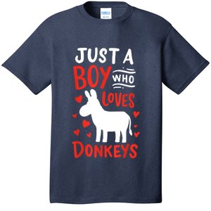 Donkey Just A Boy Who Loves Donkeys Gift T-Shirt