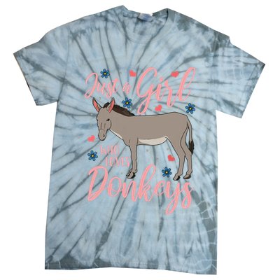 Donkey Just A Who Loves Donkeys Funny Donkey Lover Gift Tie-Dye T-Shirt