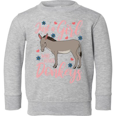 Donkey Just A Who Loves Donkeys Funny Donkey Lover Gift Toddler Sweatshirt