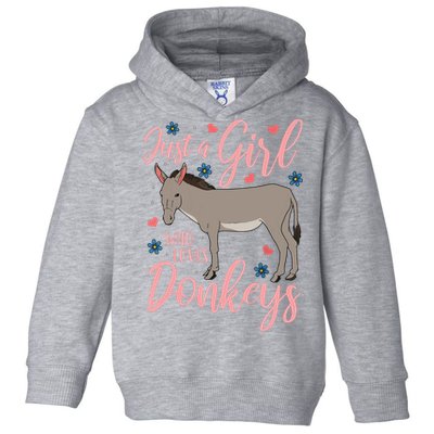 Donkey Just A Who Loves Donkeys Funny Donkey Lover Gift Toddler Hoodie