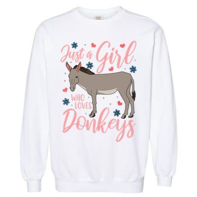 Donkey Just A Who Loves Donkeys Funny Donkey Lover Gift Garment-Dyed Sweatshirt