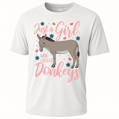 Donkey Just A Who Loves Donkeys Funny Donkey Lover Gift Performance Shirt