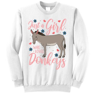 Donkey Just A Who Loves Donkeys Funny Donkey Lover Gift Sweatshirt