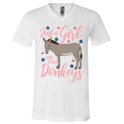 Donkey Just A Who Loves Donkeys Funny Donkey Lover Gift V-Neck T-Shirt