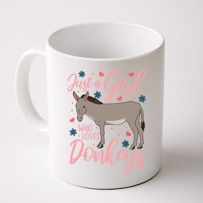 Donkey Just A Who Loves Donkeys Funny Donkey Lover Gift Mug