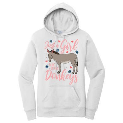 Donkey Just A Who Loves Donkeys Funny Donkey Lover Gift Women's Pullover Hoodie