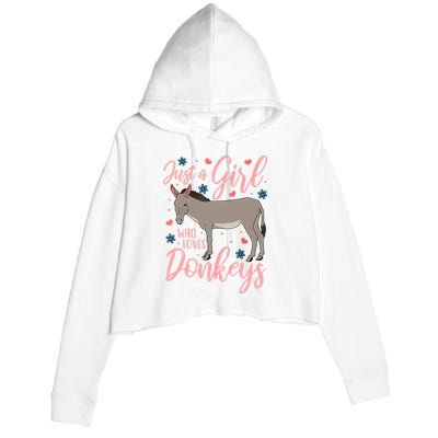 Donkey Just A Who Loves Donkeys Funny Donkey Lover Gift Crop Fleece Hoodie