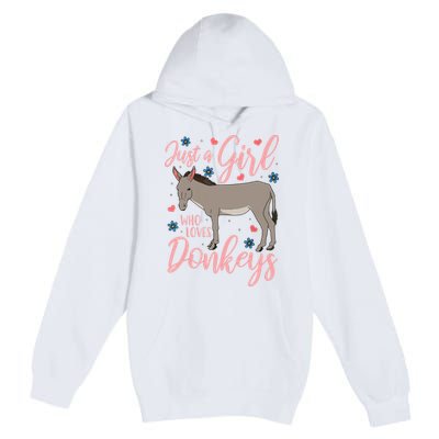 Donkey Just A Who Loves Donkeys Funny Donkey Lover Gift Premium Pullover Hoodie