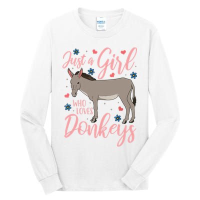 Donkey Just A Who Loves Donkeys Funny Donkey Lover Gift Tall Long Sleeve T-Shirt