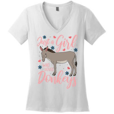 Donkey Just A Who Loves Donkeys Funny Donkey Lover Gift Women's V-Neck T-Shirt