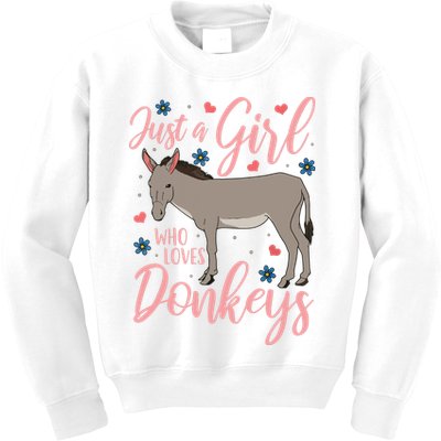 Donkey Just A Who Loves Donkeys Funny Donkey Lover Gift Kids Sweatshirt