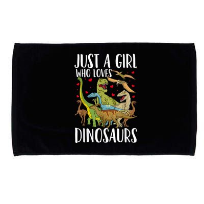 Dinosaur Just A Girl Who Loves Dinosaurs Brachiosaurus Microfiber Hand Towel