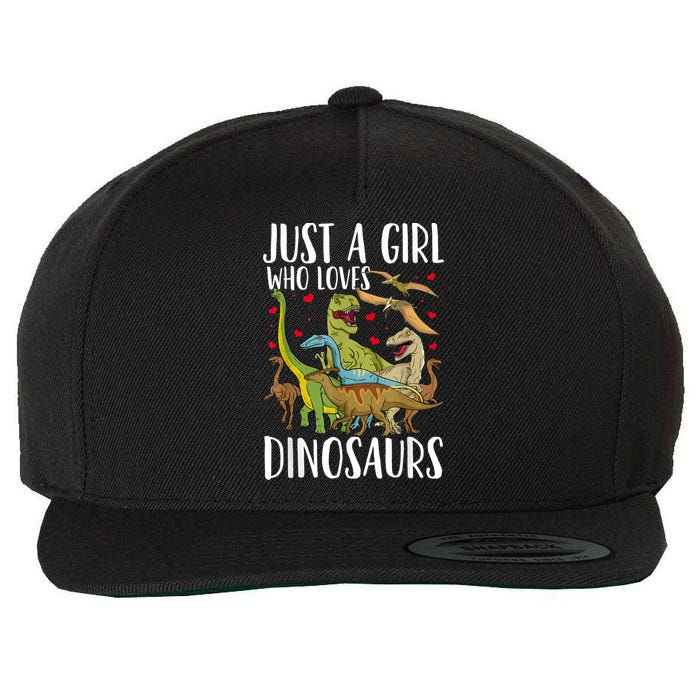Dinosaur Just A Girl Who Loves Dinosaurs Brachiosaurus Wool Snapback Cap