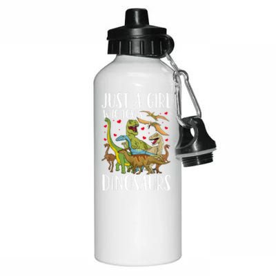 Dinosaur Just A Girl Who Loves Dinosaurs Brachiosaurus Aluminum Water Bottle