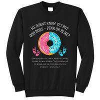 Donut Jesus Bible 2521 Gender Reveal Baby Shower Sweatshirt