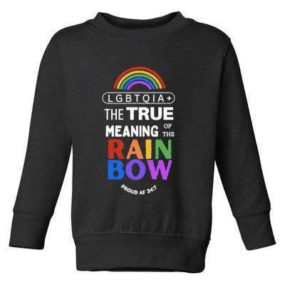 Dr. Jebra Faushay Lgbtqia+ The True Meaning Of The Rain Bow Toddler Sweatshirt