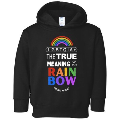 Dr. Jebra Faushay Lgbtqia+ The True Meaning Of The Rain Bow Toddler Hoodie