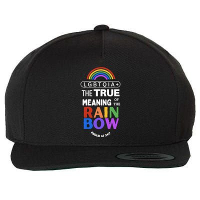 Dr. Jebra Faushay Lgbtqia+ The True Meaning Of The Rain Bow Wool Snapback Cap