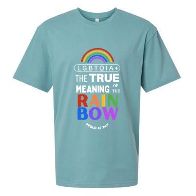 Dr. Jebra Faushay Lgbtqia+ The True Meaning Of The Rain Bow Sueded Cloud Jersey T-Shirt
