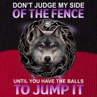 DonT Judge My Side Of The Fence Wolf Stripe Pom Pom Beanie
