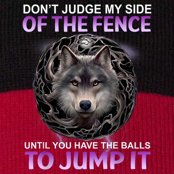 DonT Judge My Side Of The Fence Wolf Stripe Pom Pom Beanie
