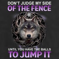 DonT Judge My Side Of The Fence Wolf 7 Panel Mesh Trucker Snapback Hat