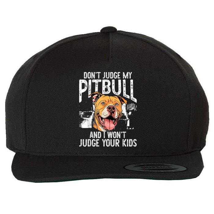 DonT Judge My Pitbull And I WonT Judge Wool Snapback Cap