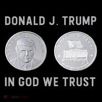 Donald J. Trump Silver Coin In God We Trust Silver Medallion Premium T-Shirt