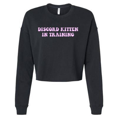 Discord Kitten In Training Apparel Cropped Pullover Crew