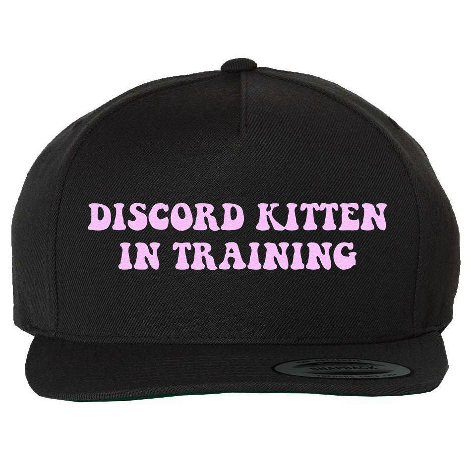 Discord Kitten In Training Apparel Wool Snapback Cap