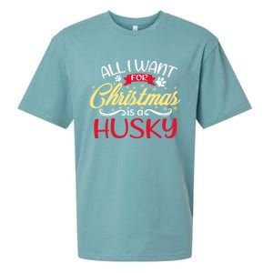 Dog Lover All I Want For Christmas Is A Husky Gift Sueded Cloud Jersey T-Shirt