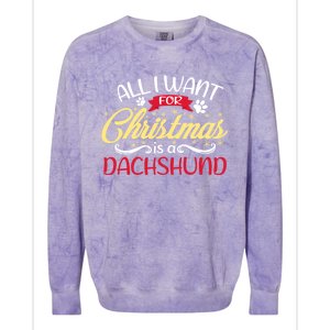 Dog Lover All I Want For Christmas Is A Dachshund Gift Colorblast Crewneck Sweatshirt