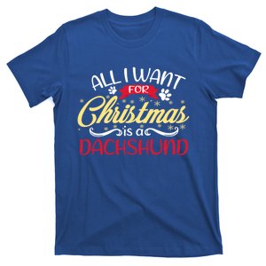 Dog Lover All I Want For Christmas Is A Dachshund Gift T-Shirt