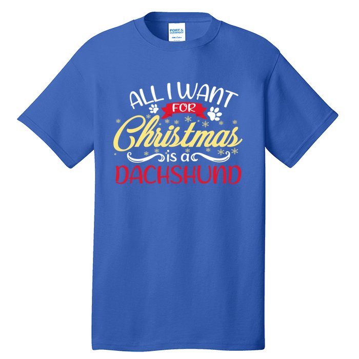 Dog Lover All I Want For Christmas Is A Dachshund Gift Tall T-Shirt