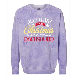 Dog Lover All I Want For Christmas Is A Dachshund Gift Colorblast Crewneck Sweatshirt