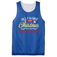 Dog Lover All I Want For Christmas Is A Dachshund Gift Mesh Reversible Basketball Jersey Tank