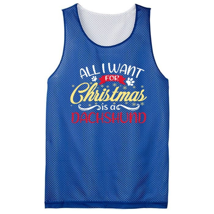 Dog Lover All I Want For Christmas Is A Dachshund Gift Mesh Reversible Basketball Jersey Tank