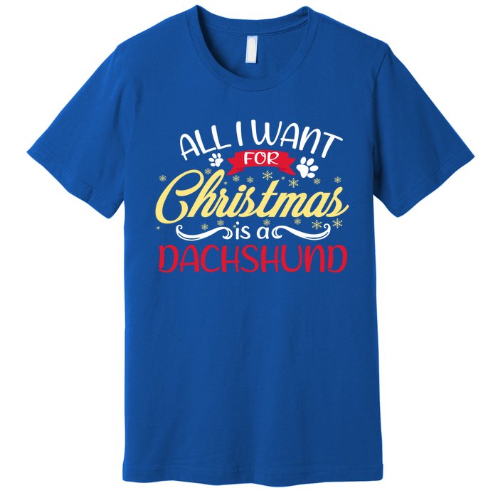 Dog Lover All I Want For Christmas Is A Dachshund Gift Premium T-Shirt