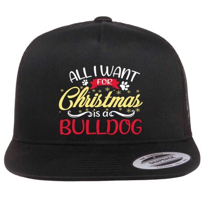 Dog Lover All I Want For Christmas Is A Bulldog Gift Flatbill Hat