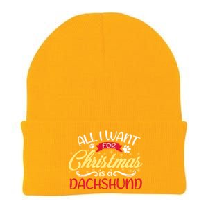 Dog Lover All I Want For Christmas Is A Dachshund Gift Knit Cap Winter Beanie