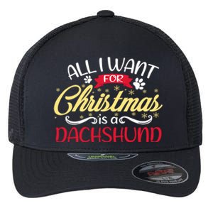 Dog Lover All I Want For Christmas Is A Dachshund Gift Flexfit Unipanel Trucker Cap