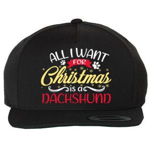 Dog Lover All I Want For Christmas Is A Dachshund Gift Wool Snapback Cap