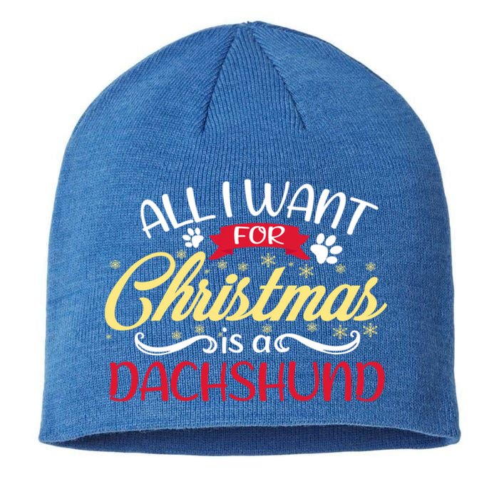 Dog Lover All I Want For Christmas Is A Dachshund Gift Sustainable Beanie