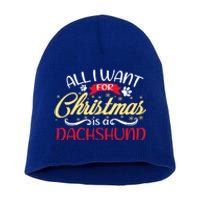 Dog Lover All I Want For Christmas Is A Dachshund Gift Short Acrylic Beanie