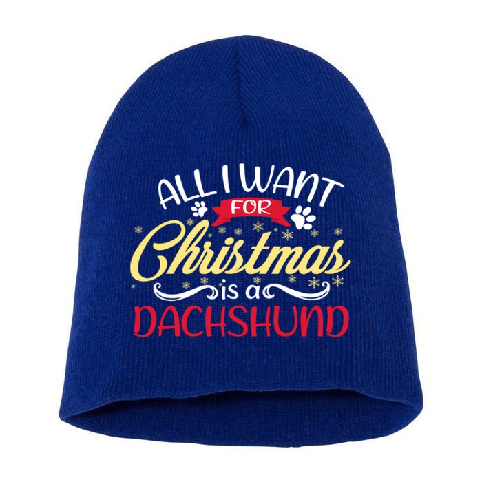 Dog Lover All I Want For Christmas Is A Dachshund Gift Short Acrylic Beanie