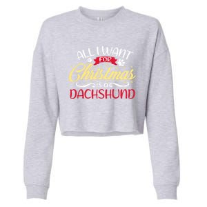 Dog Lover All I Want For Christmas Is A Dachshund Gift Cropped Pullover Crew