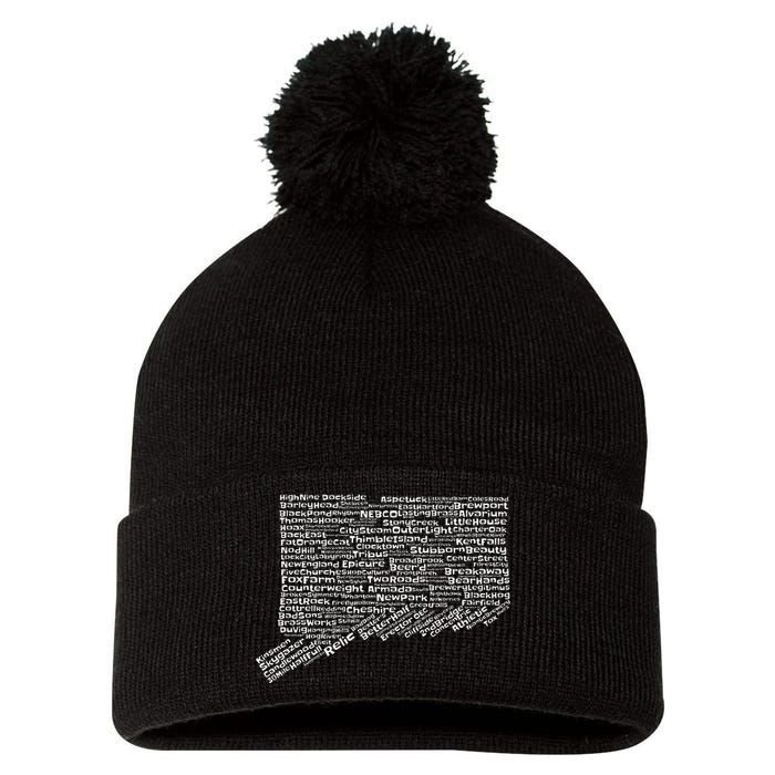 Drink Local Connecticut Breweries Pom Pom 12in Knit Beanie