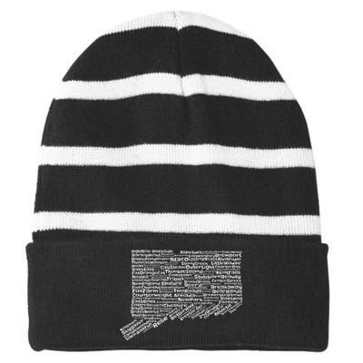 Drink Local Connecticut Breweries Striped Beanie with Solid Band