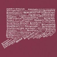 Drink Local Connecticut Breweries 16oz Travel Tumbler